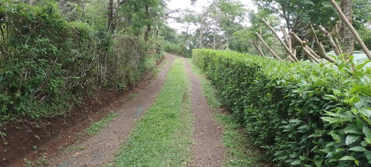 Pochote Lodge Guayabo  Bagian luar foto