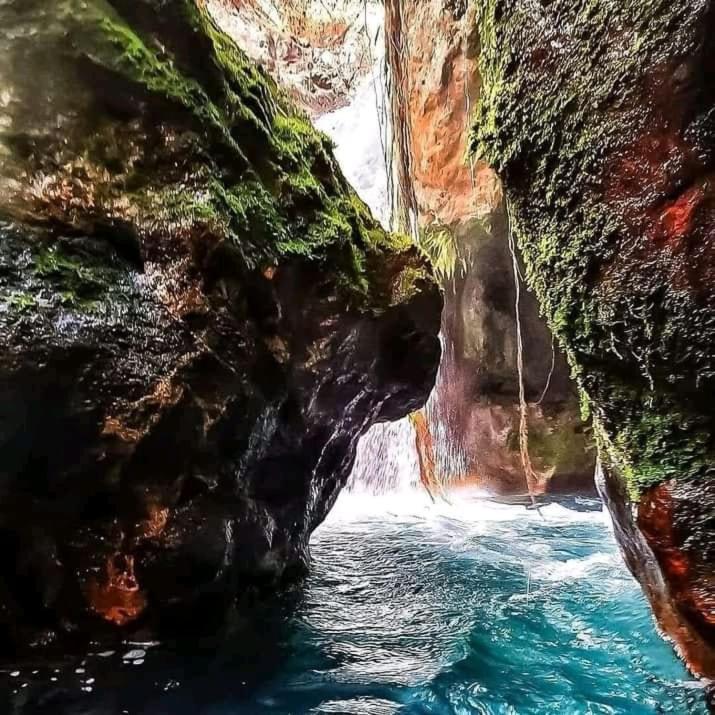 Pochote Lodge Guayabo  Bagian luar foto