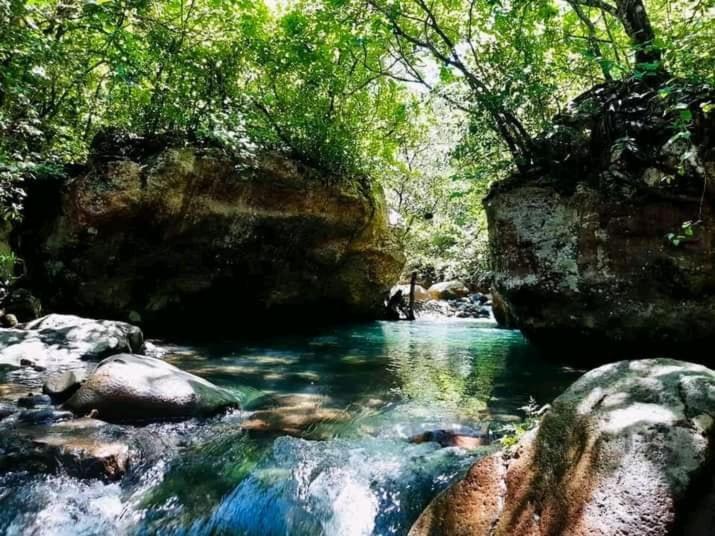 Pochote Lodge Guayabo  Bagian luar foto