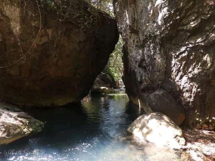 Pochote Lodge Guayabo  Bagian luar foto