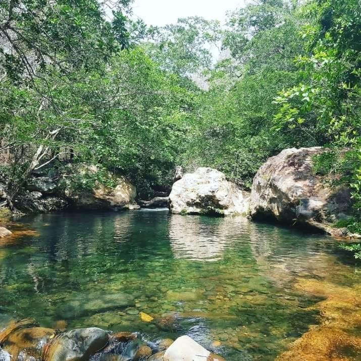 Pochote Lodge Guayabo  Bagian luar foto