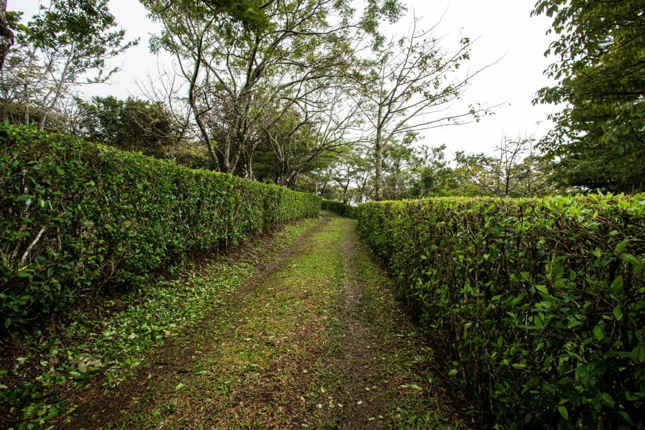 Pochote Lodge Guayabo  Bagian luar foto